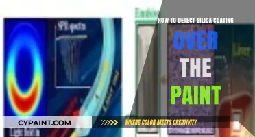 Detecting Silica Coating Over Paint: A Step-by-Step Guide