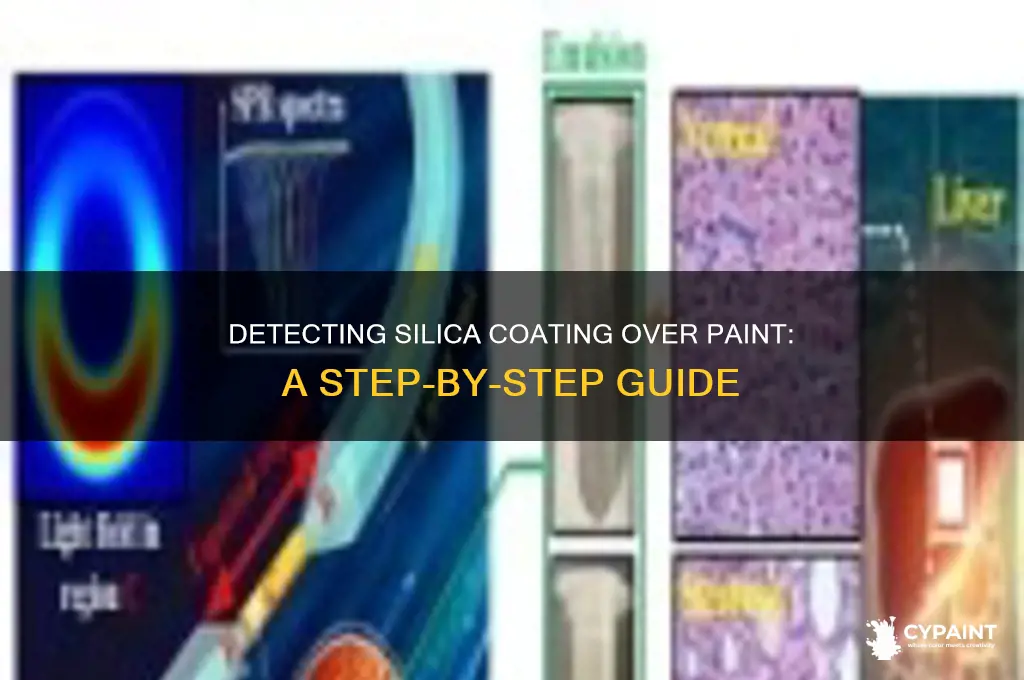 how to detect silica coating over the paint