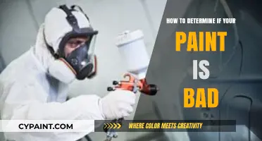 Is Your Paint Still Good? Signs of Spoilage and How to Check
