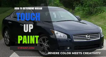 How to Determine the Correct Nissan Touch Up Paint for Your Car