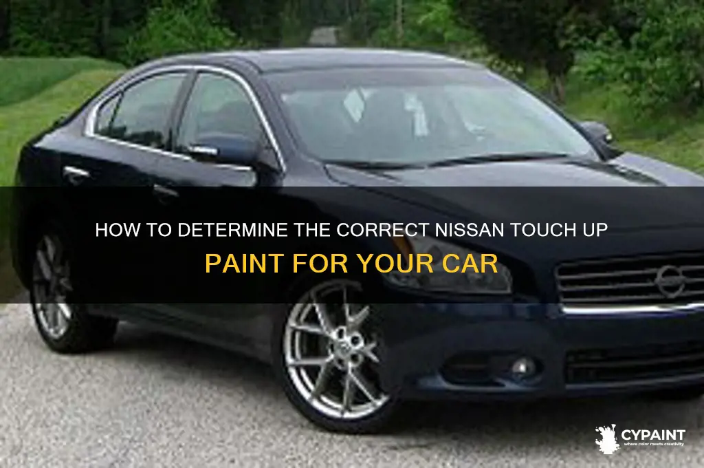 how to determine nissan touch up paint