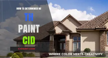 Mastering Paint Identification: A Step-by-Step Guide to Determine the Right Paint ID