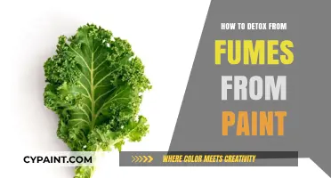 Effective Ways to Safely Detox from Paint Fumes Exposure