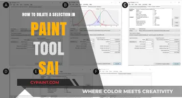 Easy Guide: Selection Dilating in Paint Tool SAI