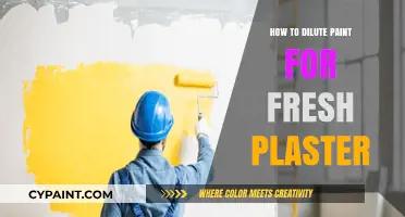 Diluting Paint for Fresh Plaster: A Step-by-Step Guide for Beginners
