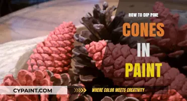 Creative Crafting: Easy Steps to Paint-Dipped Pine Cones