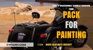 Disassembling Your Harley Davidson Tour Pack for a Fresh Paint Job