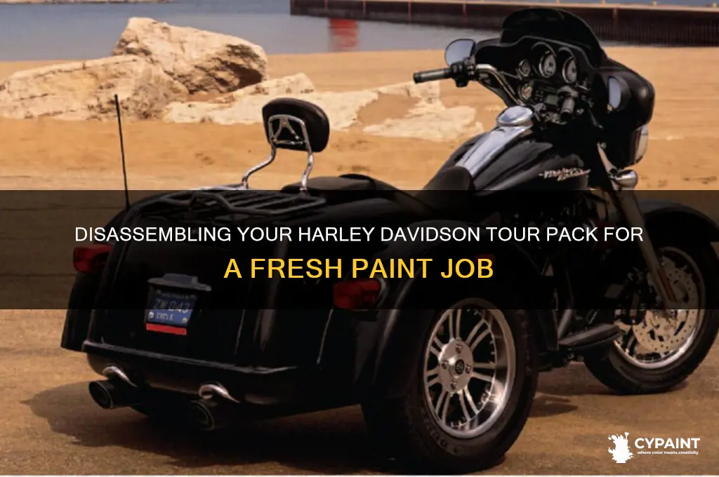 how to disassemble a harley davidson tour pack for painting