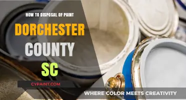 Proper Paint Disposal Guide for Dorchester County, SC Residents
