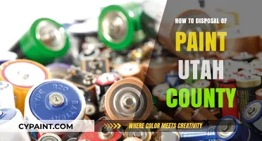 Eco-Friendly Paint Disposal Tips for Utah County Residents