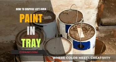 Eco-Friendly Tips for Properly Disposing of Leftover Paint in Trays