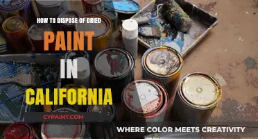 Eco-Friendly Paint Disposal Tips for California Residents
