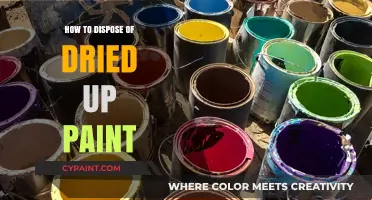 Eco-Friendly Ways to Dispose of Dried Up Paint Safely