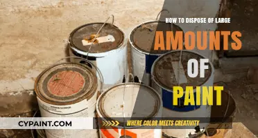 Eco-Friendly Ways to Dispose of Large Paint Quantities Safely