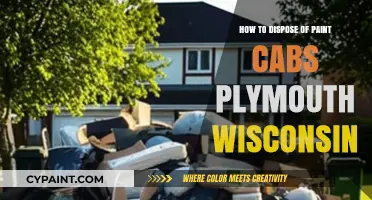 Eco-Friendly Paint Disposal Tips for Plymouth, Wisconsin Residents