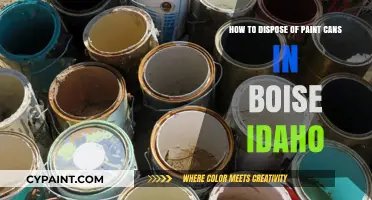 Dispose Paint Cans in Boise: A Guide