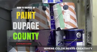 Eco-Friendly Paint Disposal Tips for DuPage County Residents