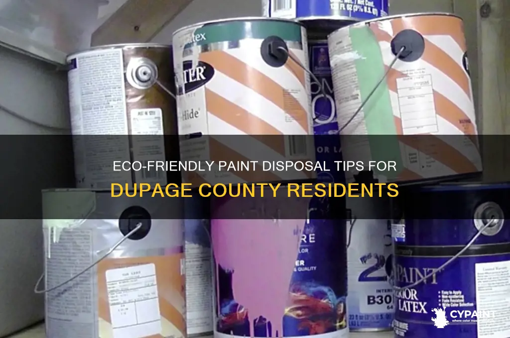 how to dispose of paint dupage county