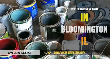 Eco-Friendly Paint Disposal Tips for Bloomington, IL Residents