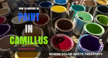 Eco-Friendly Paint Disposal Tips for Camillus Residents
