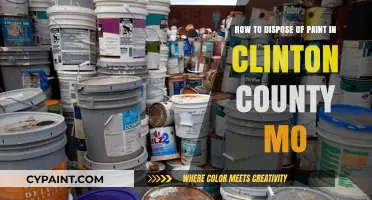 Safe Paint Disposal Methods in Clinton County, MO