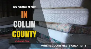 Eco-Friendly Paint Disposal Guide for Collin County Residents