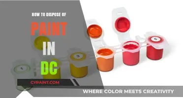 Eco-Friendly Paint Disposal Tips for DC Residents: A Complete Guide
