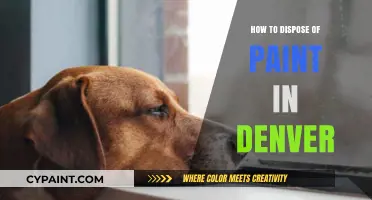 Eco-Friendly Paint Disposal Guide for Denver Residents