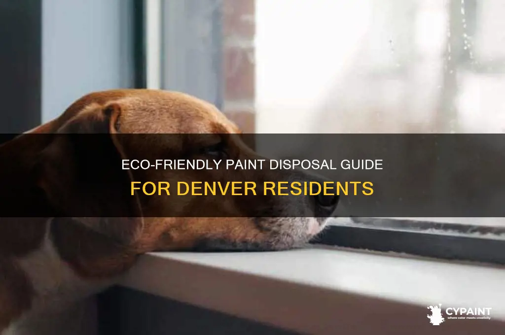 how to dispose of paint in denver