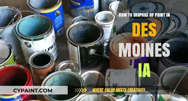 Safe Paint Disposal in Des Moines, Iowa