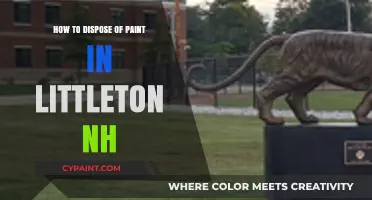 Eco-Friendly Paint Disposal Tips for Littleton, NH Residents