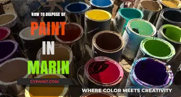 Eco-Friendly Paint Disposal Tips for Marin County Residents