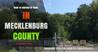 Eco-Friendly Paint Disposal Guide for Mecklenburg County Residents
