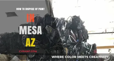 Eco-Friendly Paint Disposal Tips for Mesa, AZ Residents