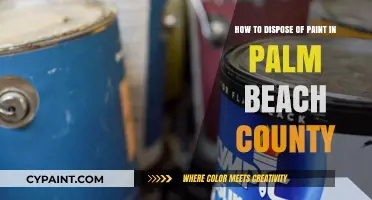 Safe Paint Disposal: Palm Beach County Guide