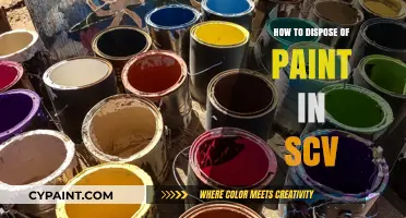 Eco-Friendly Paint Disposal Tips for SCV Residents: A Complete Guide