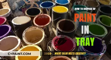 Eco-Friendly Tips for Properly Disposing of Paint in Trays