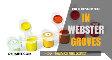Eco-Friendly Paint Disposal Tips for Webster Groves Residents