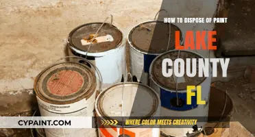 Eco-Friendly Paint Disposal Guide for Lake County, Florida Residents