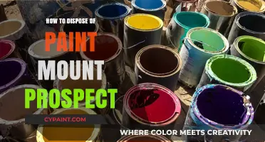 Eco-Friendly Paint Disposal Tips for Mount Prospect Residents