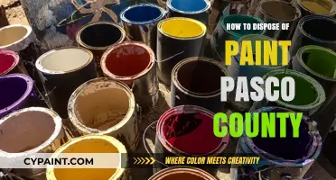 Eco-Friendly Paint Disposal Guide for Pasco County Residents