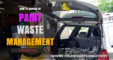 Effective Paint Waste Disposal: Eco-Friendly Management Tips and Best Practices