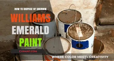Eco-Friendly Disposal Guide for Sherwin Williams Emerald Paint