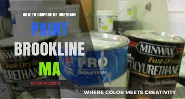 Safe Urethane Paint Disposal Tips for Brookline, MA Residents