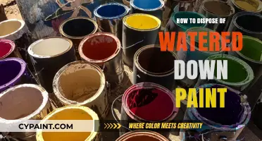 Safe and Eco-Friendly Ways to Dispose of Watered Down Paint