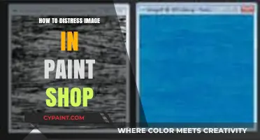 Mastering Image Distressing Techniques in Paint Shop Pro: A Creative Guide