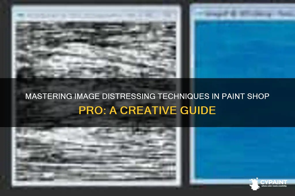 how to distress image in paint shop
