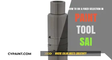 Mastering Fixed Selection Techniques in Paint Tool SAI: A Step-by-Step Guide