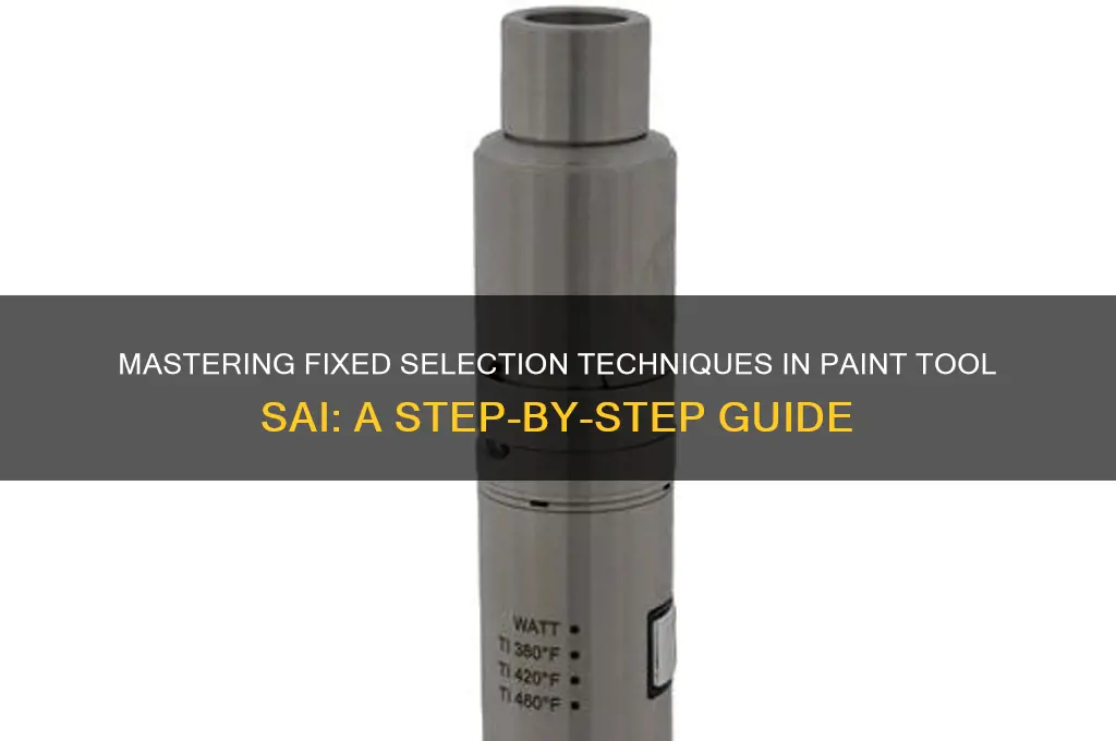 how to do a fixed selection in paint tool sai