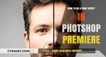 Mastering Paint Effects in Photoshop and Premiere